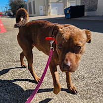 Thumbnail photo of Austin #3