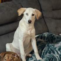 Thumbnail photo of Sunny #2