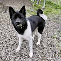 Thumbnail photo of Lucia #2