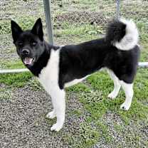 Thumbnail photo of Lucia #3