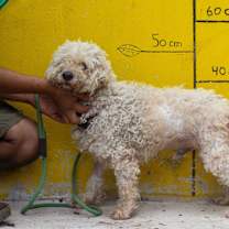 Thumbnail photo of Max #2