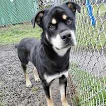 Thumbnail photo of Mushu Russell #1