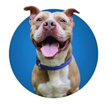 Thumbnail photo of Rabbit #2