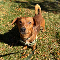 Thumbnail photo of Cam #1