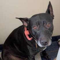 Thumbnail photo of Hilde #4