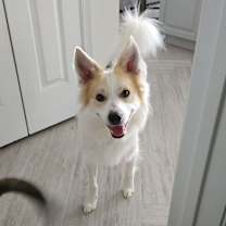 Thumbnail photo of Jax #1