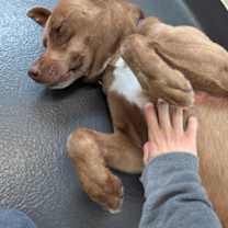 Thumbnail photo of Whiskey #3