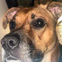 Thumbnail photo of Sunny Ray #2