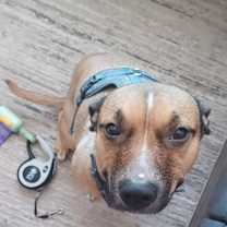 Thumbnail photo of Sugar #1