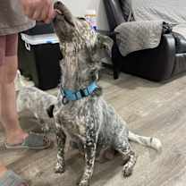 Thumbnail photo of River #3