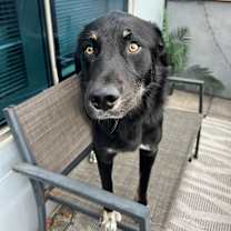 Thumbnail photo of Sugar Bear #4