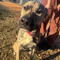 Thumbnail photo of Prince #1