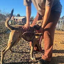 Thumbnail photo of Prince #3