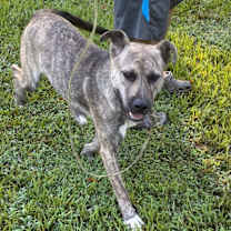 Thumbnail photo of Prince #4