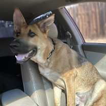 Thumbnail photo of Tyson #3