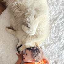 Thumbnail photo of Toffe #2