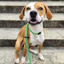 Thumbnail photo of Penny #1