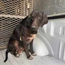 Thumbnail photo of Flavia #2