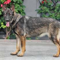 Thumbnail photo of Anja von Altena #3