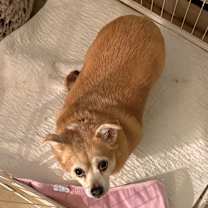 Thumbnail photo of Max #1