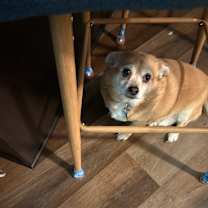 Thumbnail photo of Max #2