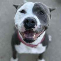 Thumbnail photo of Saffron #2