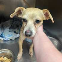 Thumbnail photo of Stasia #2