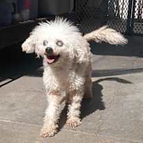 Thumbnail photo of Mimi #2