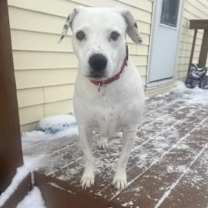 Thumbnail photo of Lily #4