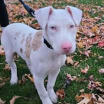 Thumbnail photo of Timmy * #1