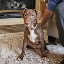 Thumbnail photo of Tommy * #1