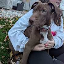 Thumbnail photo of Tommy * #3