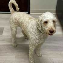 Thumbnail photo of JASPER #2