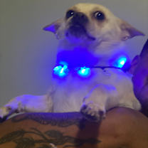 Thumbnail photo of Chloe #4