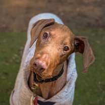 Thumbnail photo of Maisy #3