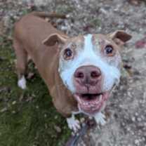 Thumbnail photo of Jake #4