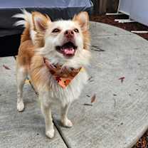 Thumbnail photo of Jackson Browne #1