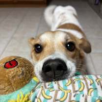 Thumbnail photo of Chance #3