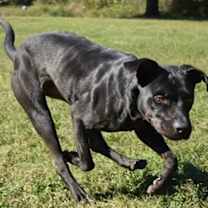 Thumbnail photo of Hermie #3