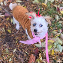 Thumbnail photo of Shirley #3