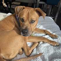 Thumbnail photo of Meta #2