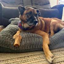 Thumbnail photo of Pam #1