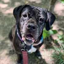 Thumbnail photo of Rita #1