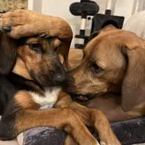 Thumbnail photo of Sidney #2