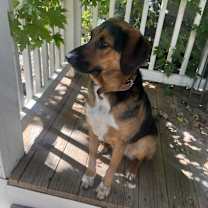 Thumbnail photo of Sidney #3