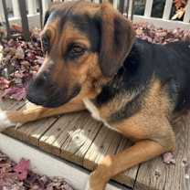 Thumbnail photo of Sidney #4