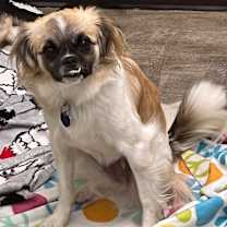 Thumbnail photo of Wednesday #1