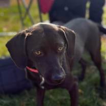 Stella Sheila Talbot