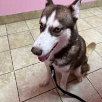 Thumbnail photo of Dyna #1