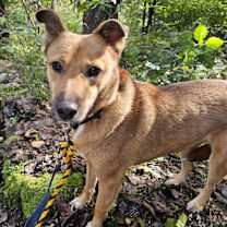 Thumbnail photo of Saetbyul #1